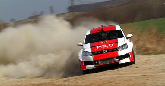 Testy Polo Proto